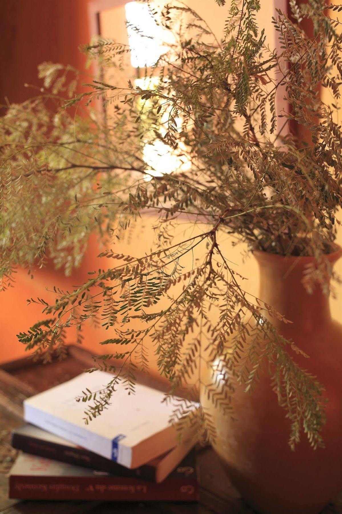 Le Jardin Des Douars Bed & Breakfast Al Ghar Eksteriør bilde